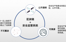 区块链网络安全的例子_区块链在网络安全中的应用,并给出具体

的应用模式