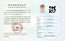 网络安全人社证书_网络安全人社证书怎么考（人社部网络安全证书）