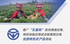 云南区块链商家_云南区块链商家不考核
怎么办（云南区块链商户平台进不去）