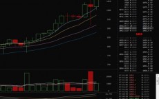 金融专家分析比特币_金融比特币是诈骗公司吗