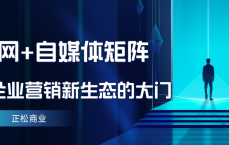 网络营销企业官方微博号_网络营销企业官方微博号是多少（微博的网络营销）