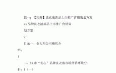 网络营销方案项目有哪些_网络营销方案包罗
哪些重要
内容?（网络营销方案包括哪些内容）