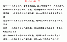 网络营销小米网站分析_小米网络营销swot分析2021（小米的网络营销分析）