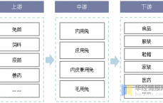 瓜子网络营销近况
调研_瓜子网络营销近况
调研陈诉
（瓜子网运营模式）