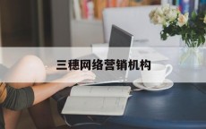 三穗网络营销机构_网络营销的四个特点（网络营销三要素是哪些）